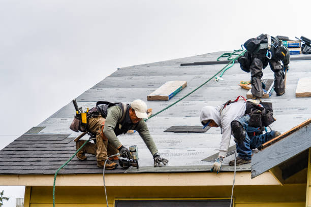 Professional Roofing technician working in Louisville, IL
